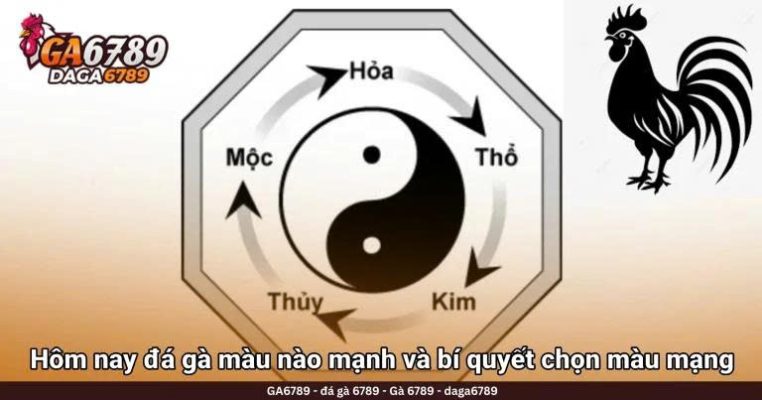 Hôm nay đá gà màu nào mạnh và bí quyết chọn màu mạng chuẩn nhất